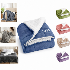 Microfiber Flannel-to-Sherpa Plush Twin Bed Blanket